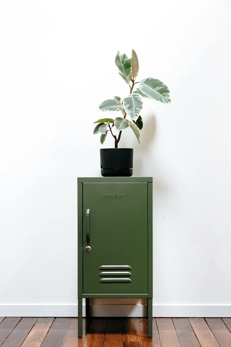 The Shorty OLIVE