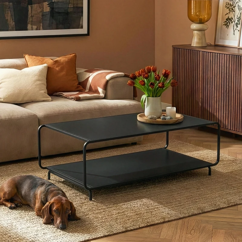 Soffbord Færder 115x50x45 cm Stål Svart [en.casa]
